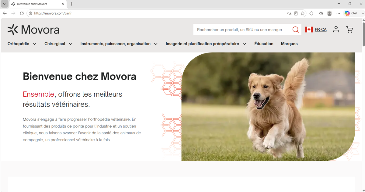 Movora ecommerce and global site